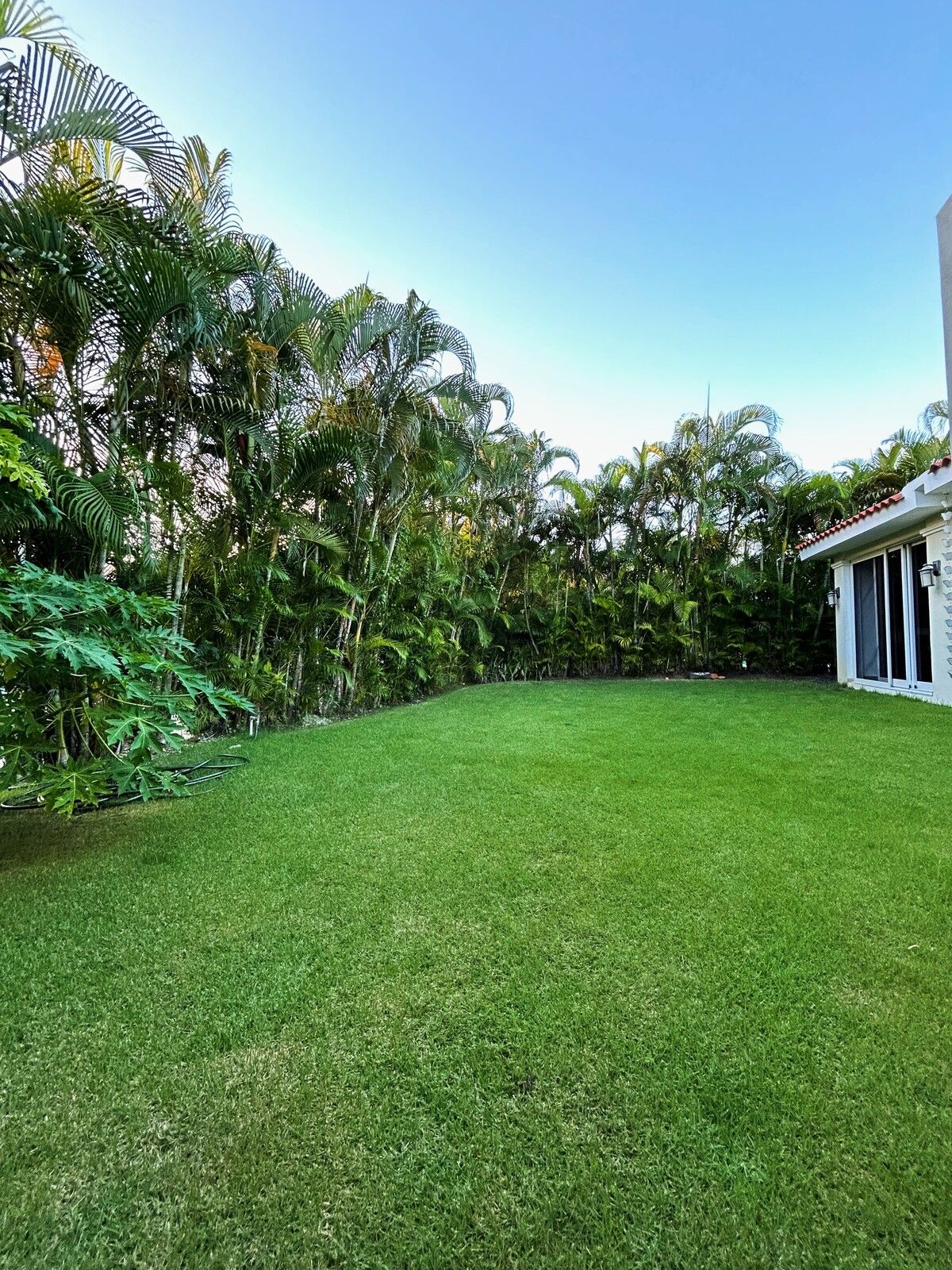 5 de 16: Patio