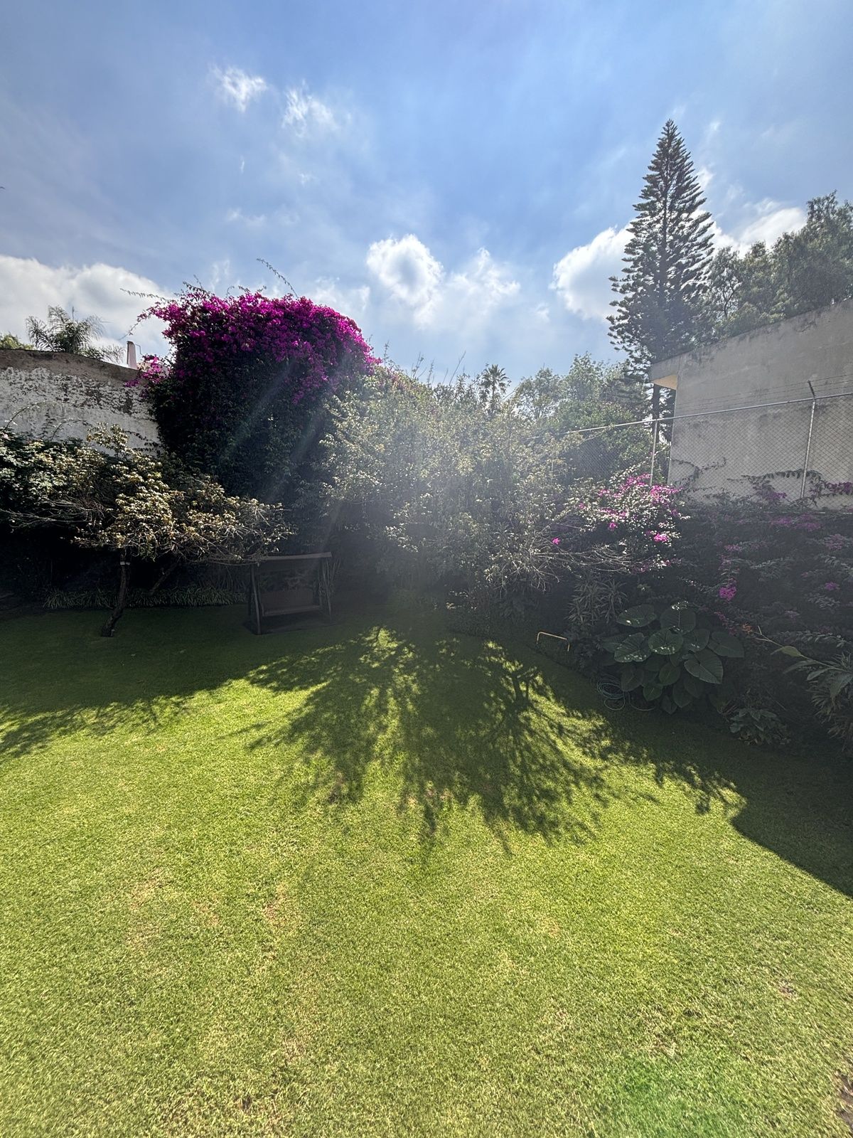 3 of 45: jardín