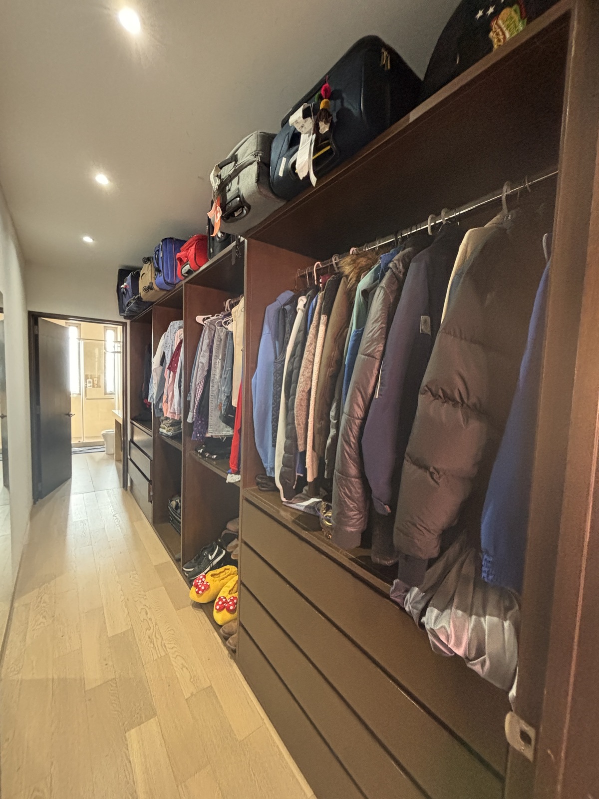 42 of 45: closet-vestidor