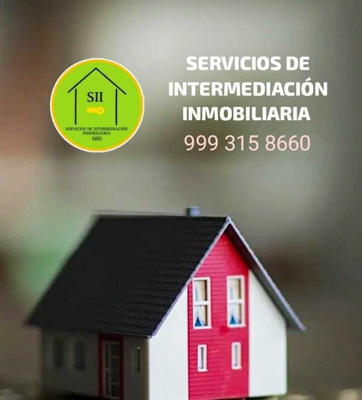 7 de 20