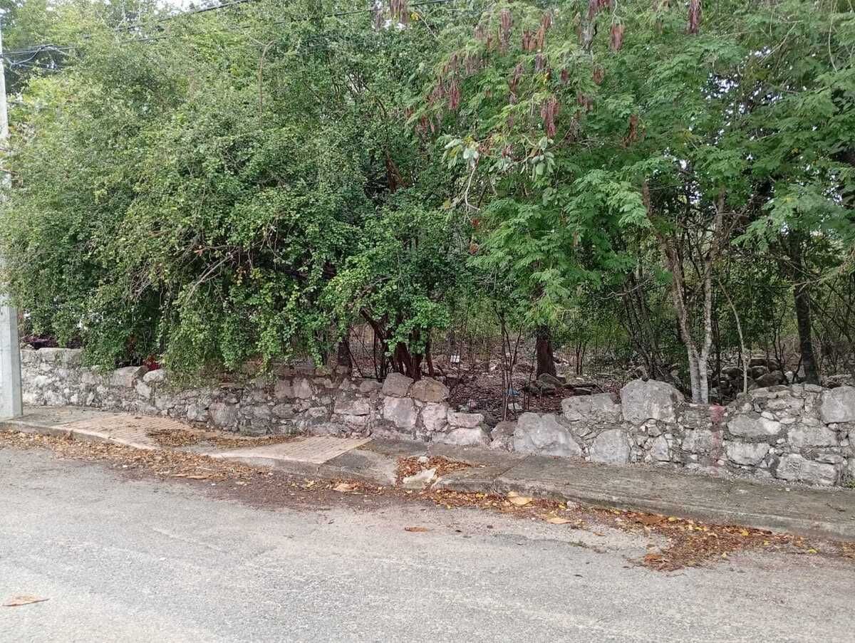 2 de 3