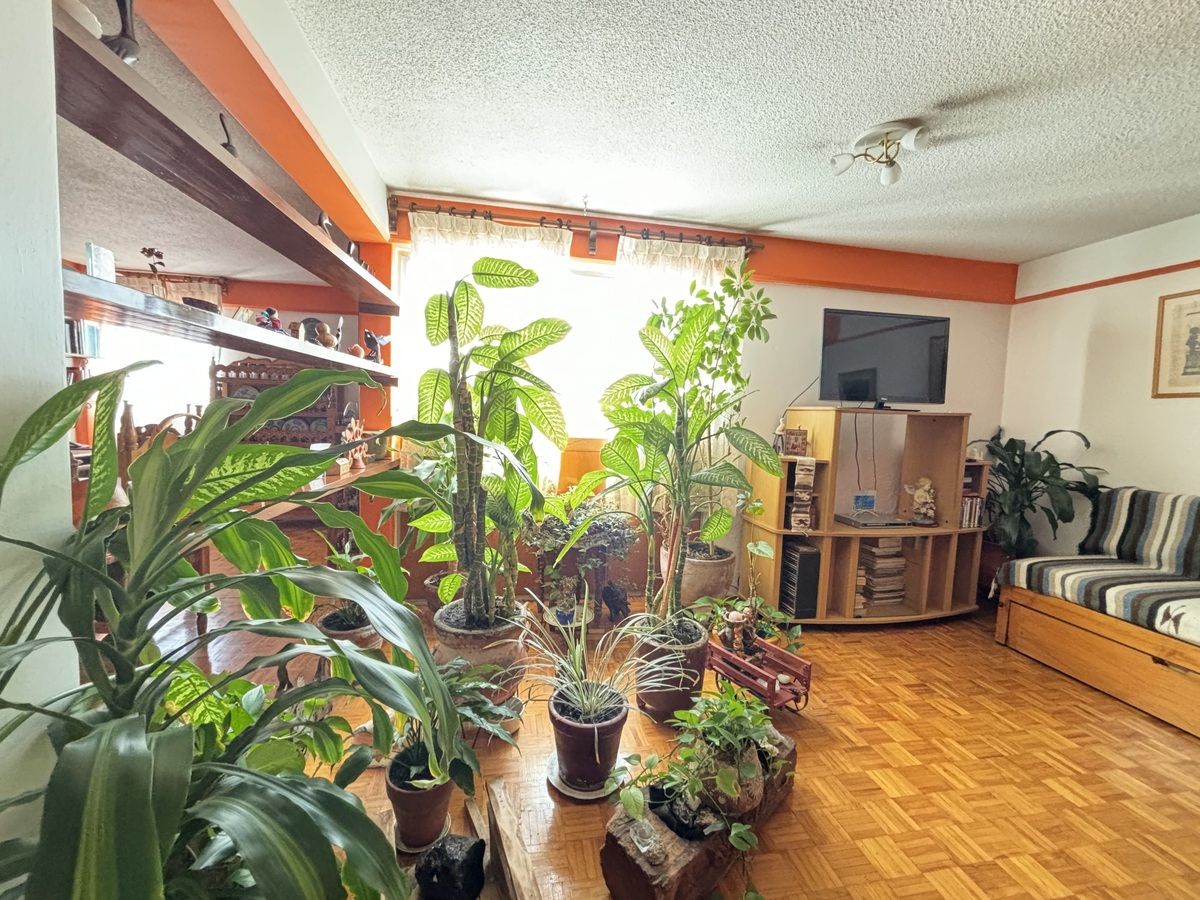 Apartment in Copilco, Coyoacán, photo 6 of 21