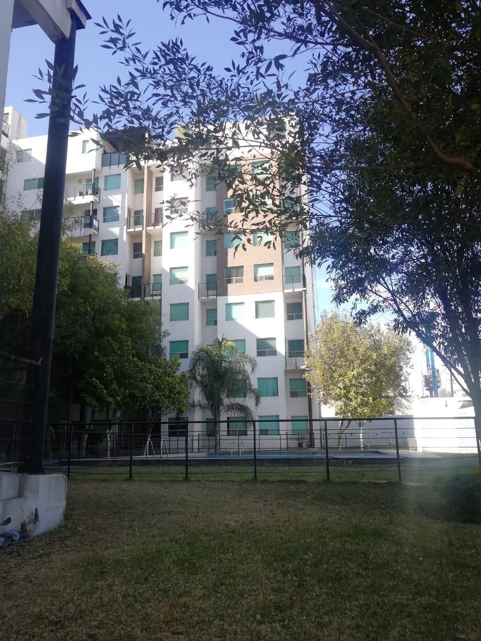 Imagen 1 de 8