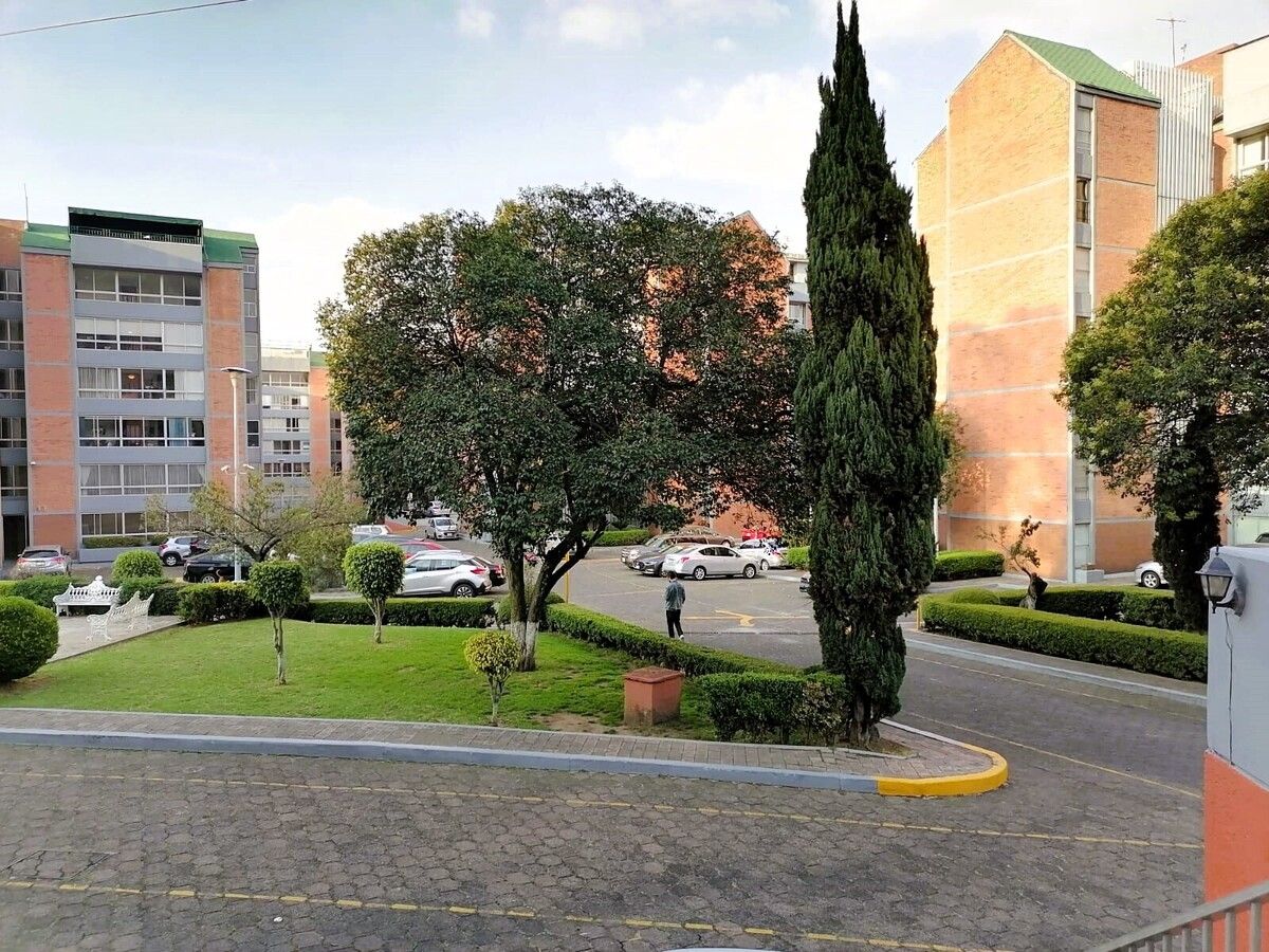 2 de 31