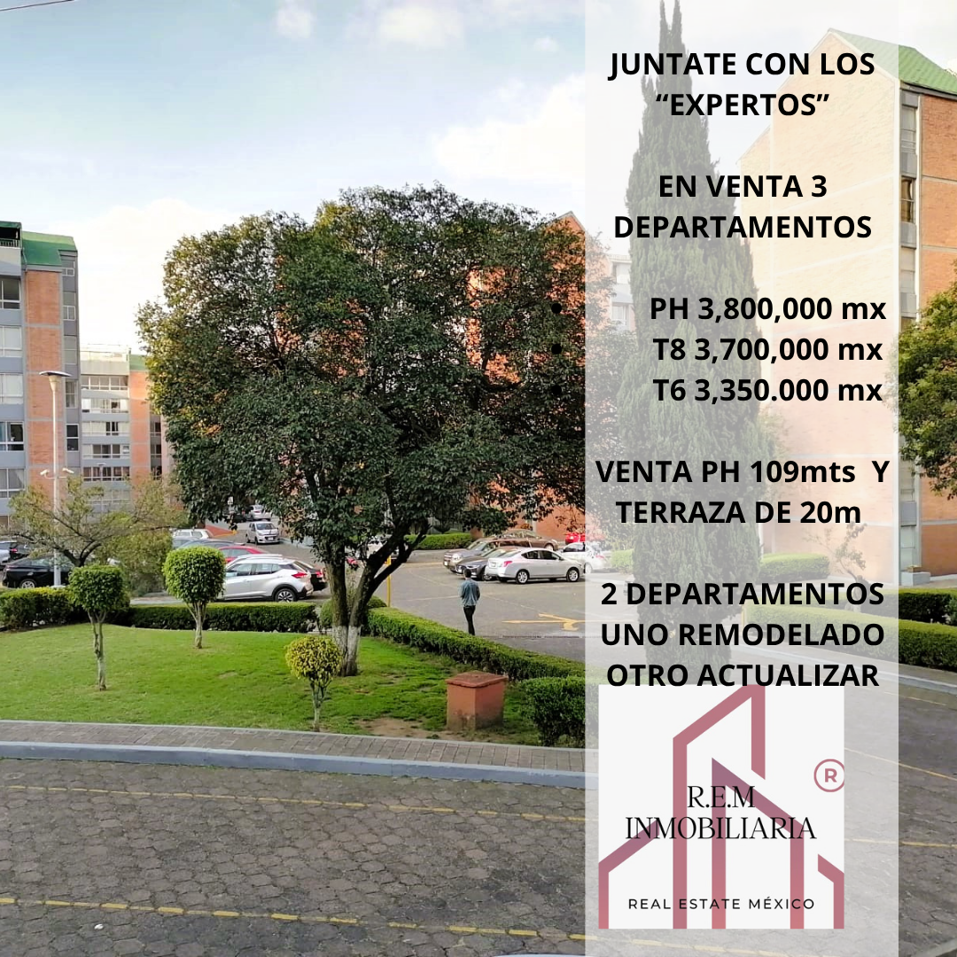 1 de 31