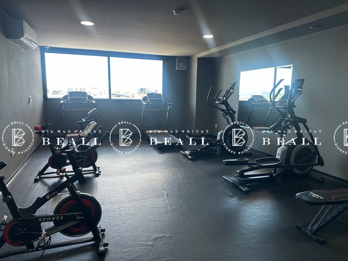 13 de 15: Gimnasio