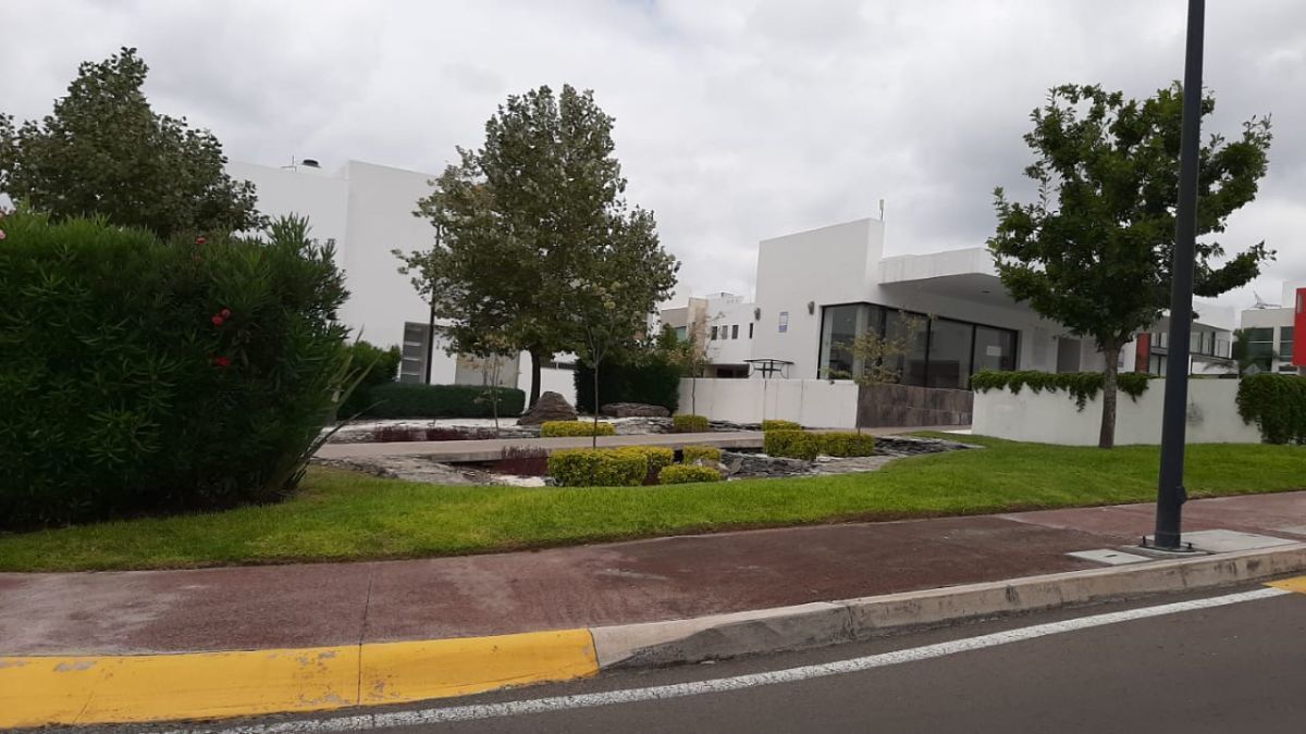 Imagen 5 de 10