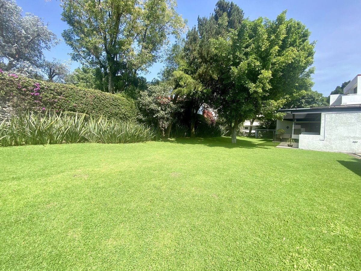 33 de 35: Jardín común