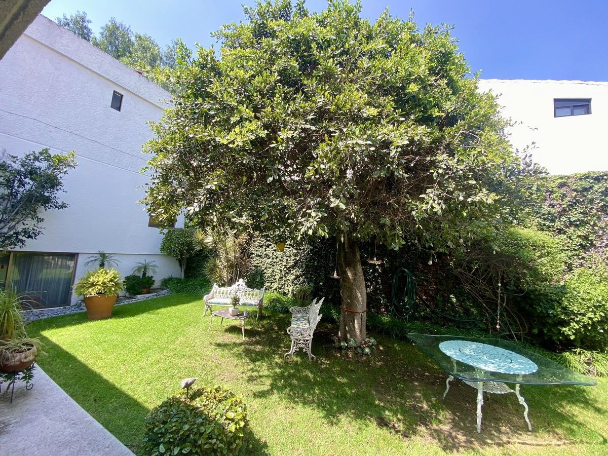 13 de 35: Jardín de la casa