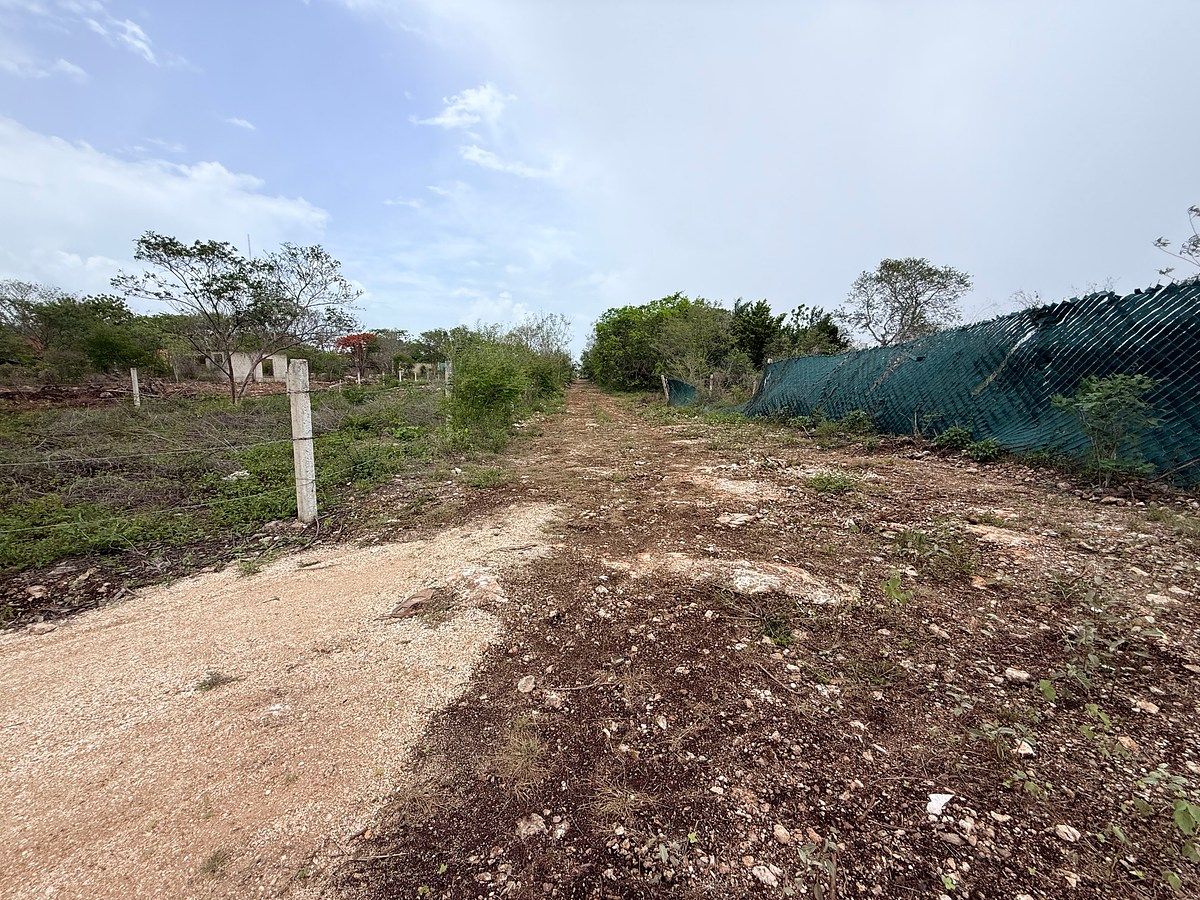 Lote em Sitpach, Mérida, foto 8 de 12
