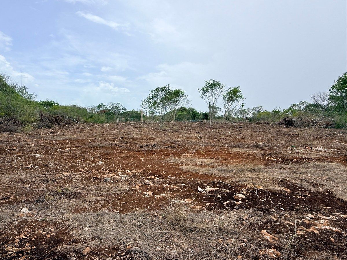 Lote em Sitpach, Mérida, foto 11 de 12