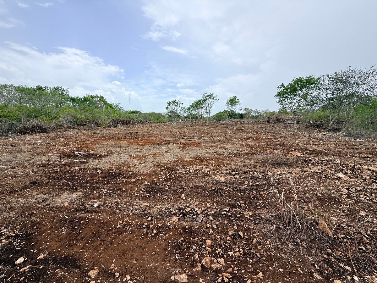 Lote em Sitpach, Mérida, foto 12 de 12