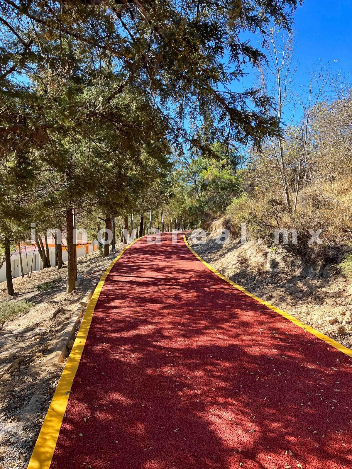 41 de 41