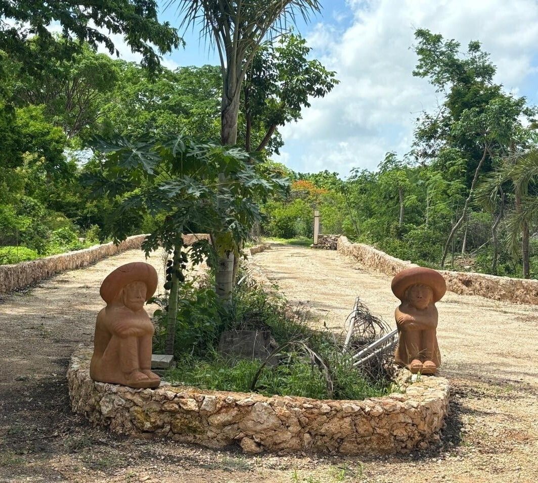 5 de 45