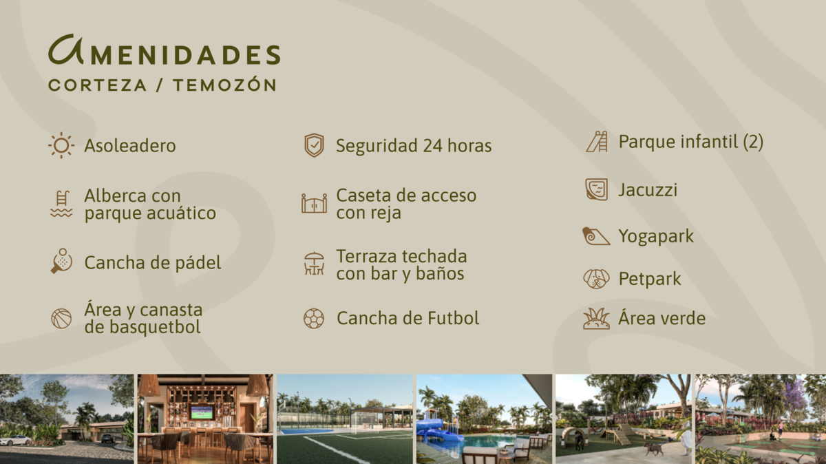 13 de 29