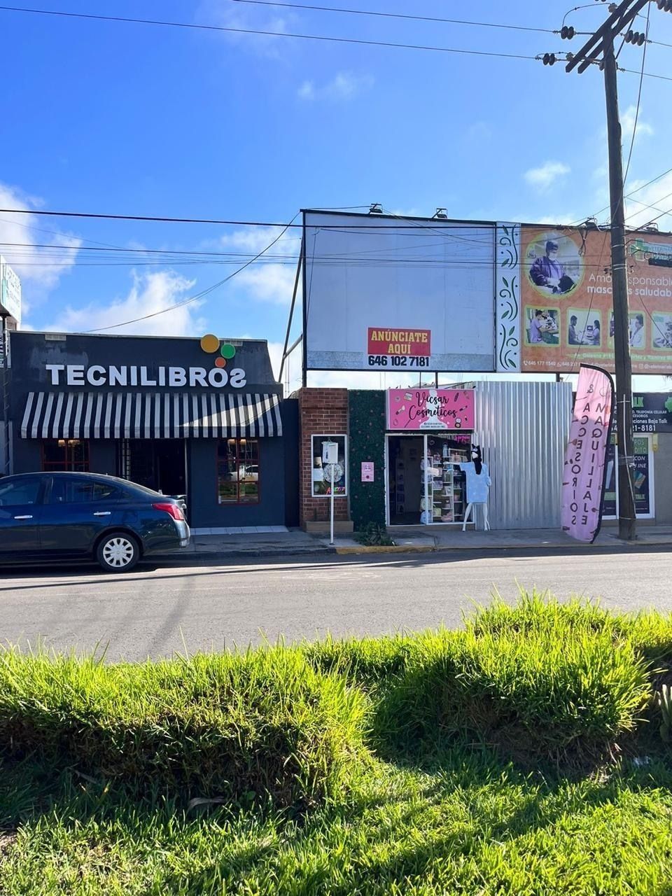 8 de 12