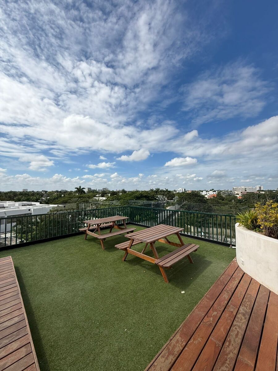 12 of 15: Terraza y Rooftop