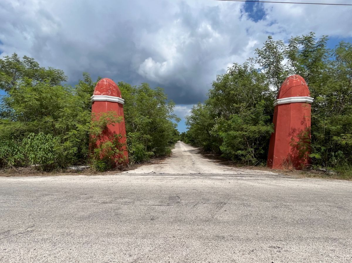 1000 m2 / Construye la casa de tus sueños / Documentación en regla / - foto 1