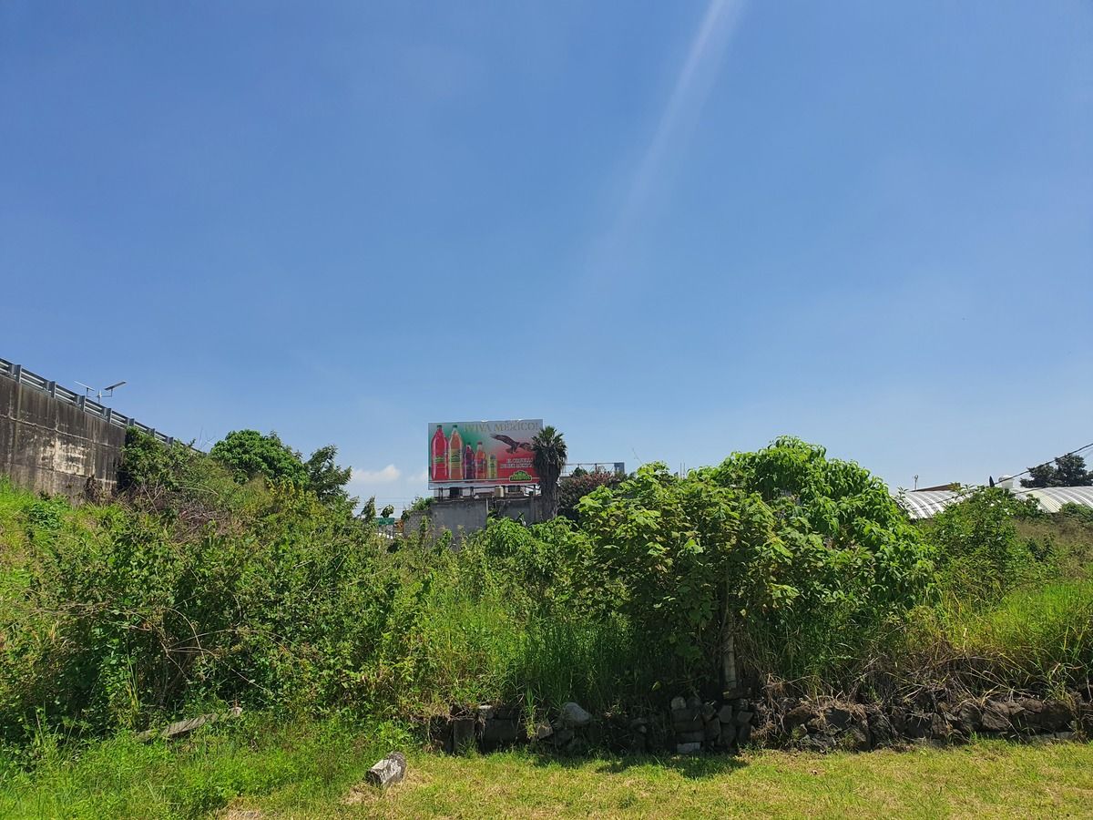 Vista del terreno
