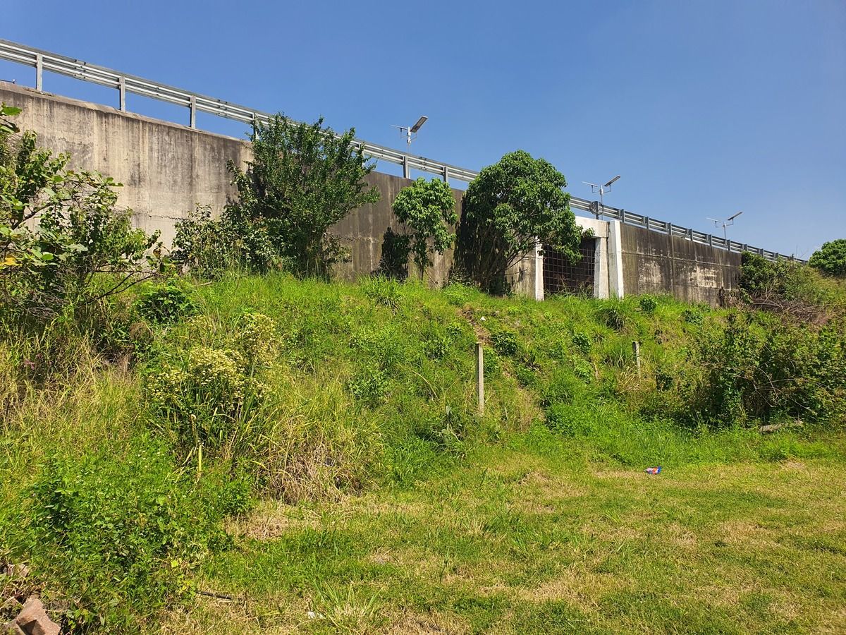 Vista del terreno