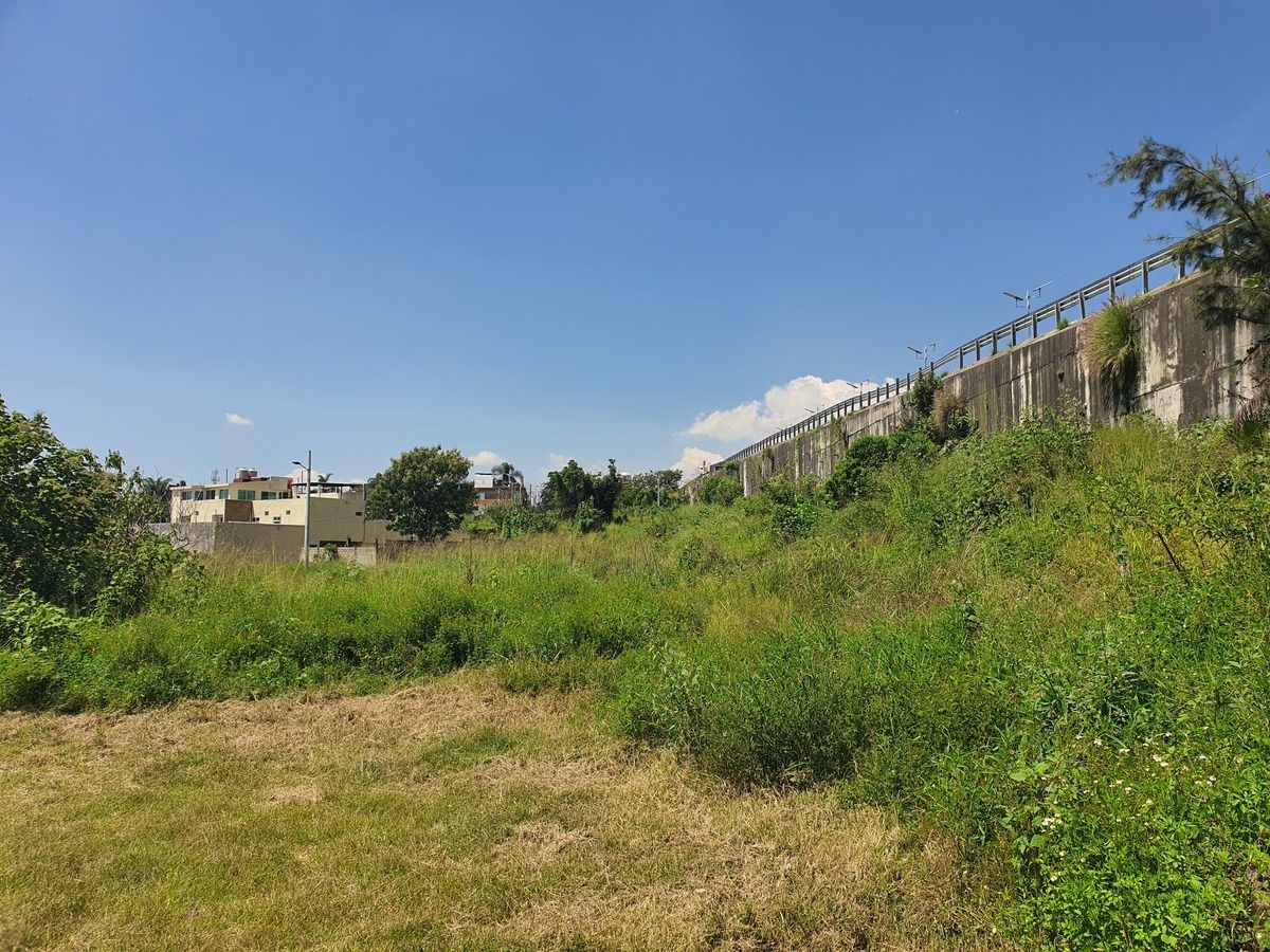Vista del terreno