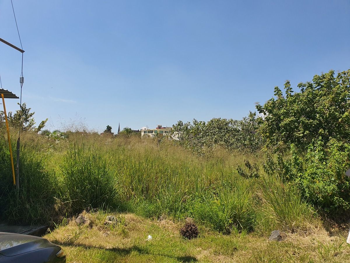 Vista del terreno