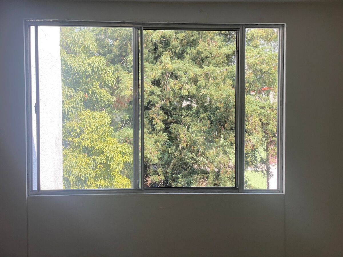 14 de 14: vista arbolada