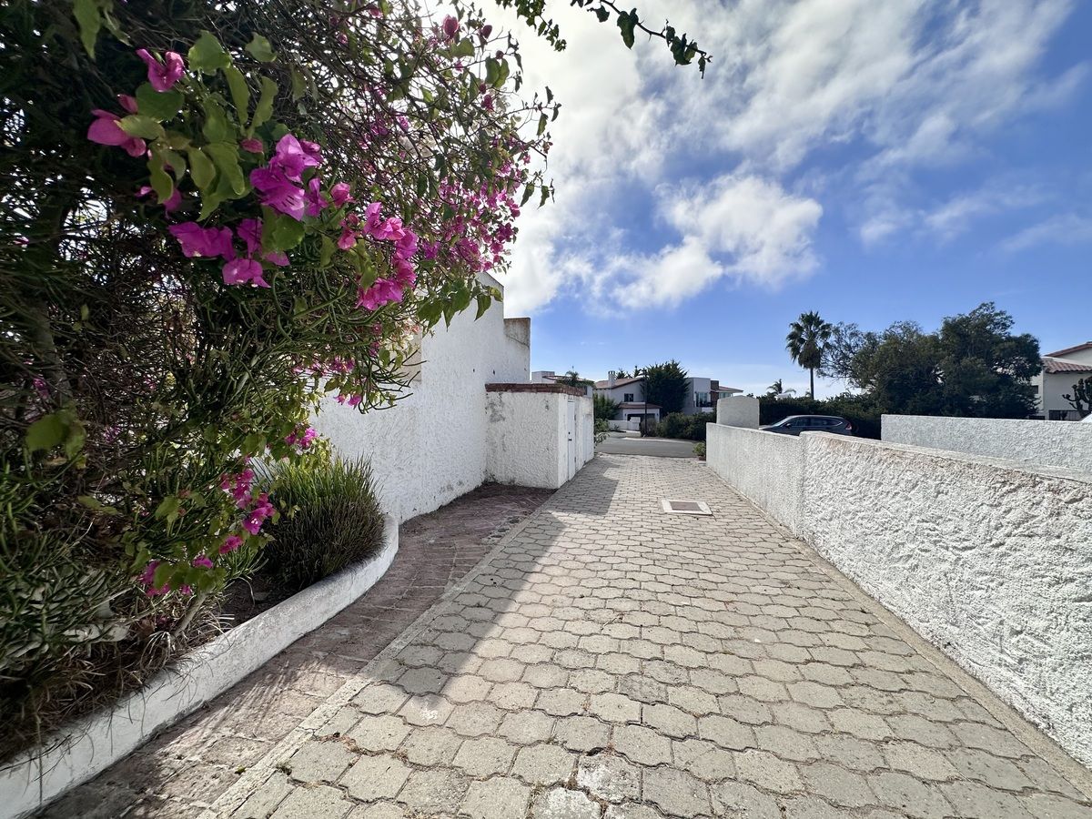 1 de 38: drivewaya de la entrada