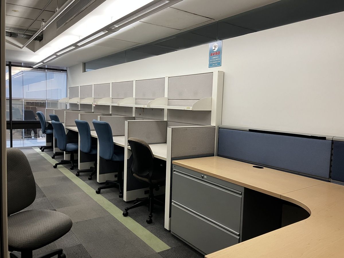 Oficina en renta,  Bosques de las Lomas