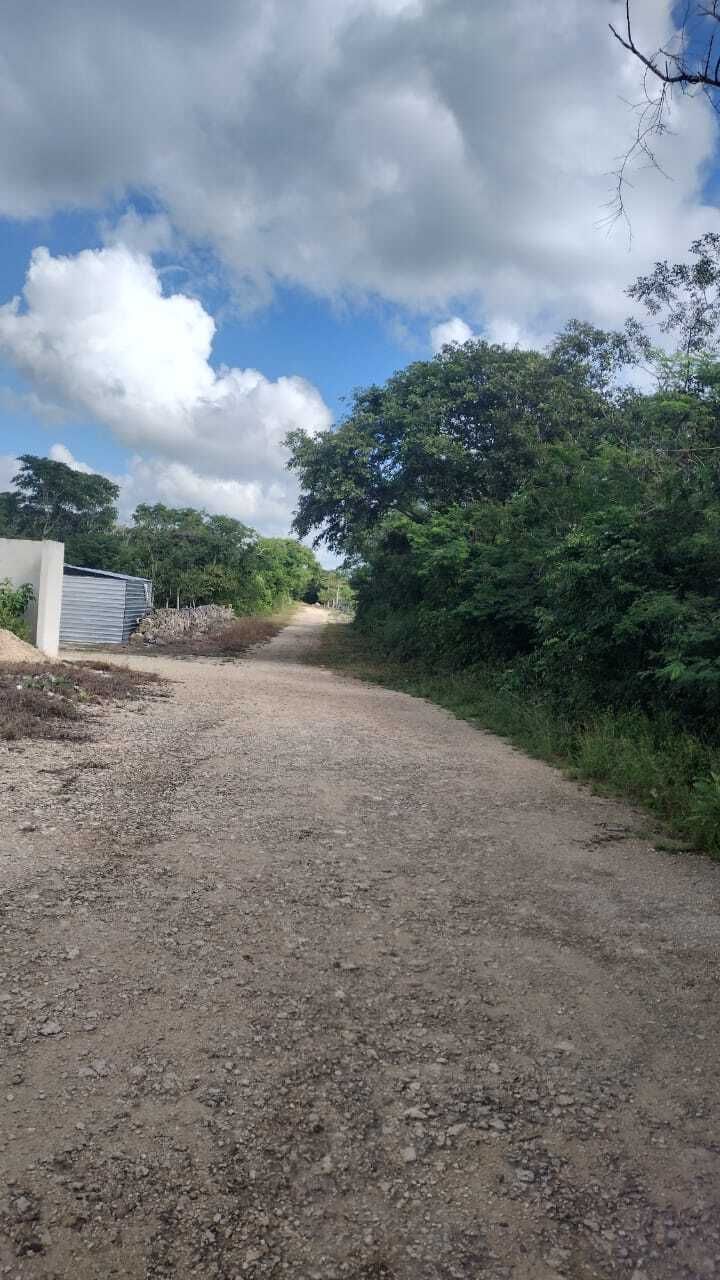 7 de 8