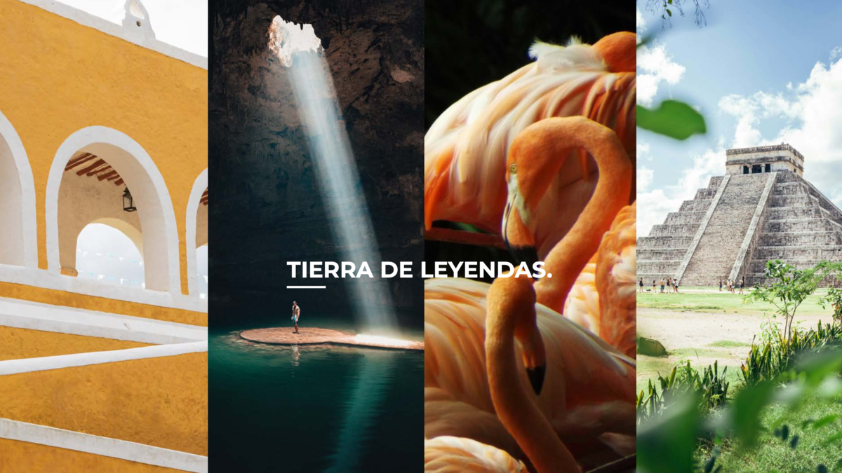 Imagen 3 de 9
