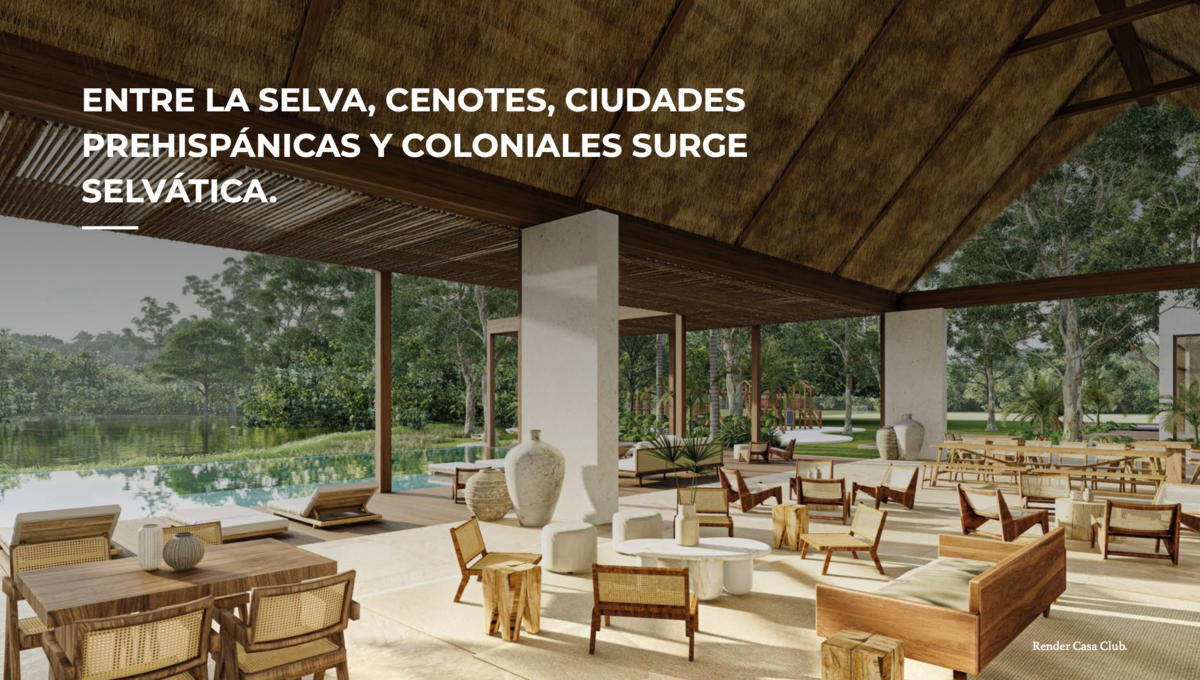 Imagen 4 de 9