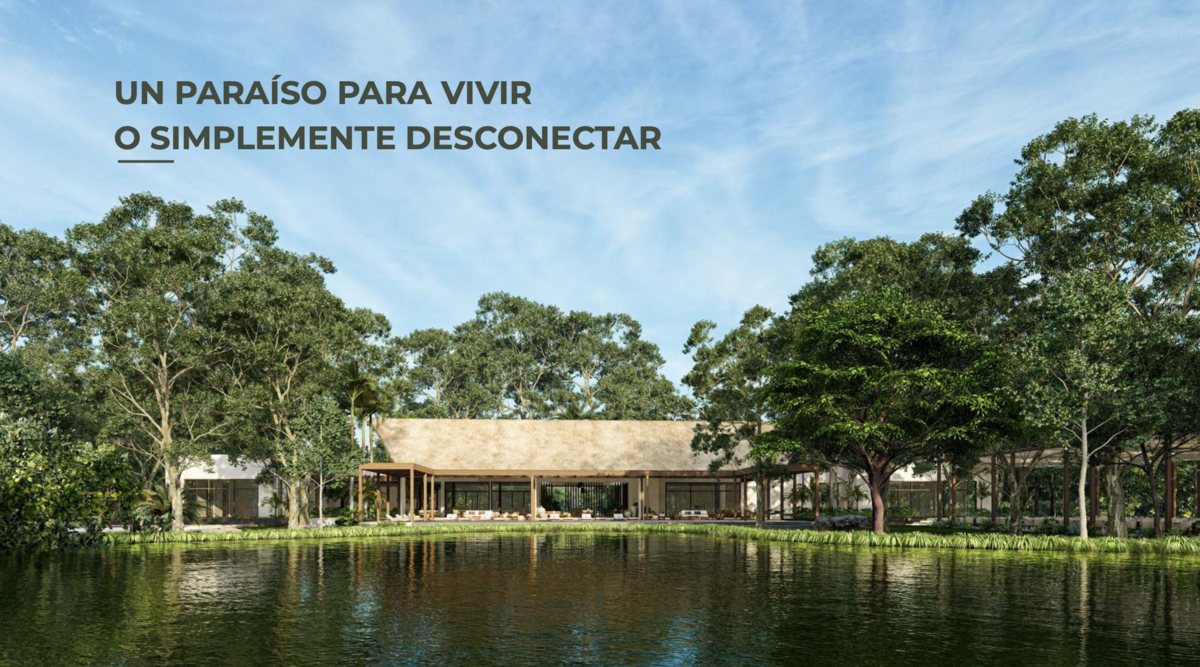 Imagen 5 de 9