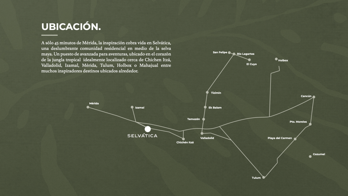 Imagen 9 de 9