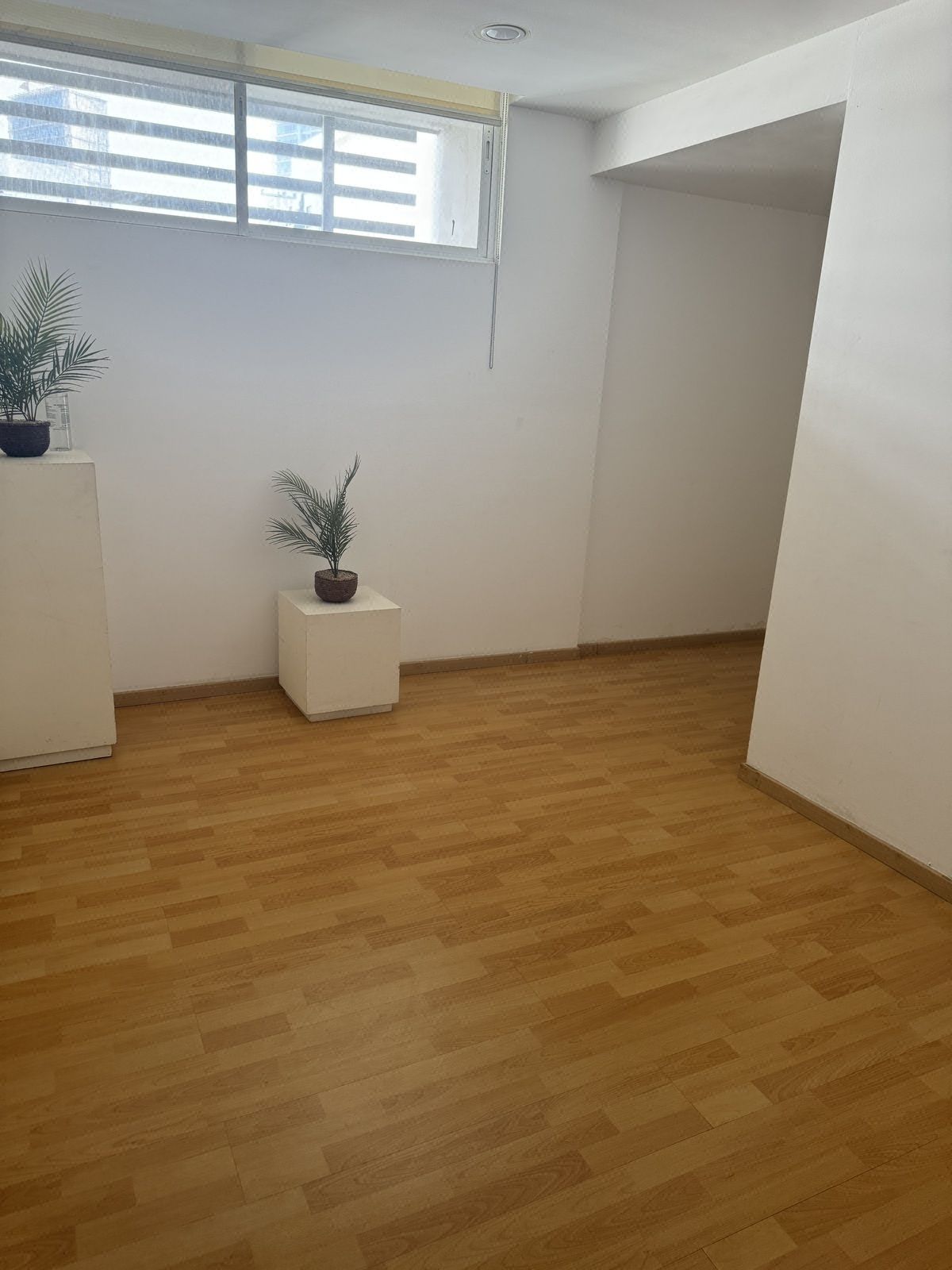 Departamento en Los Doctores, Monterrey, foto 4 de 19