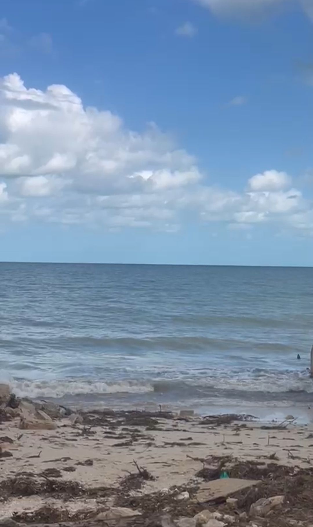 2 de 25