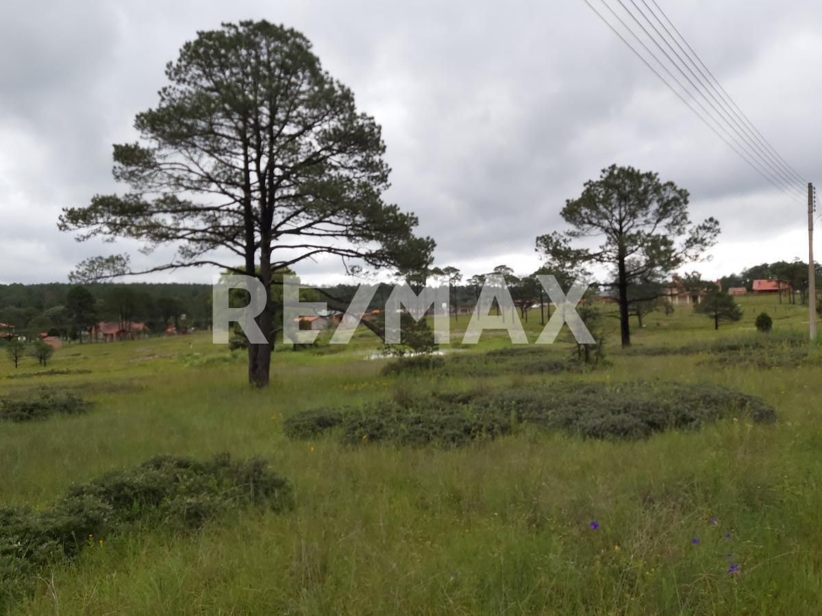 Terreno en Venta en Paraíso de la Sierra