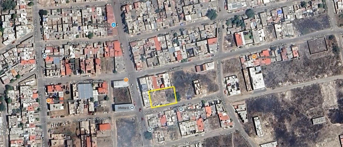 Terreno En Venta En Tala, Jalisco - foto 3