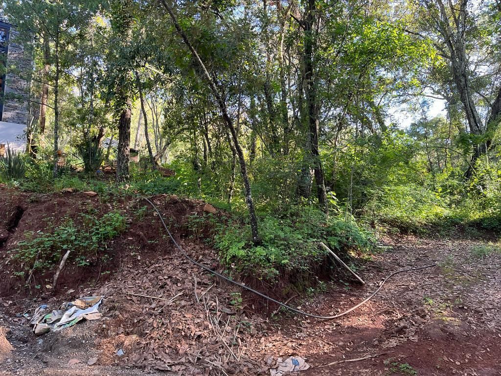 BAJALE AL ESTRES Y COMPRA UN TERRENO O CABAÑA EN ATEMAJAC DE BRIZUELA - foto 3