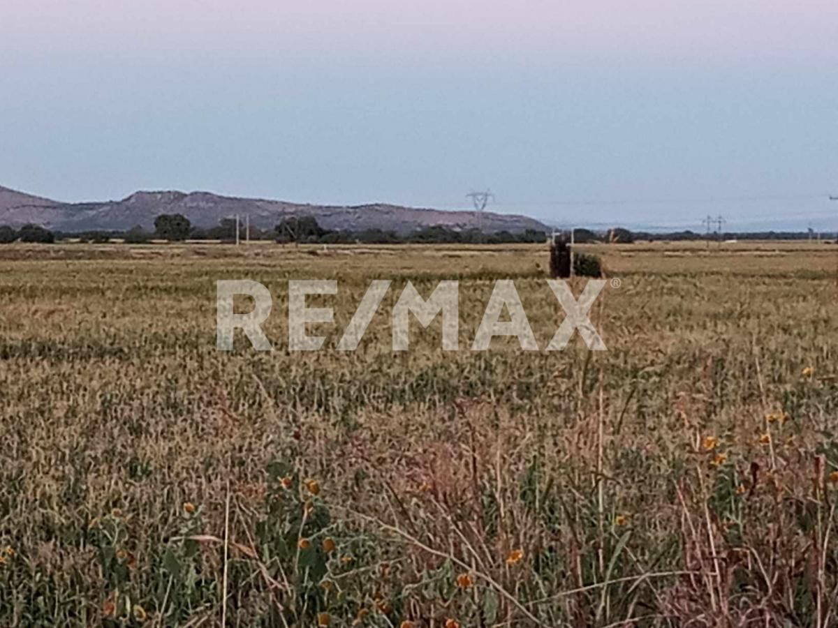 Venta de Terreno Agrícola en el Ejido Belisario Domínguez