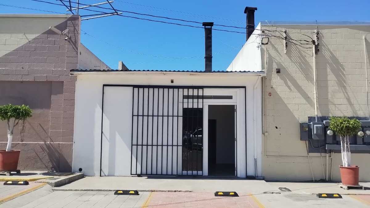 1 de 6