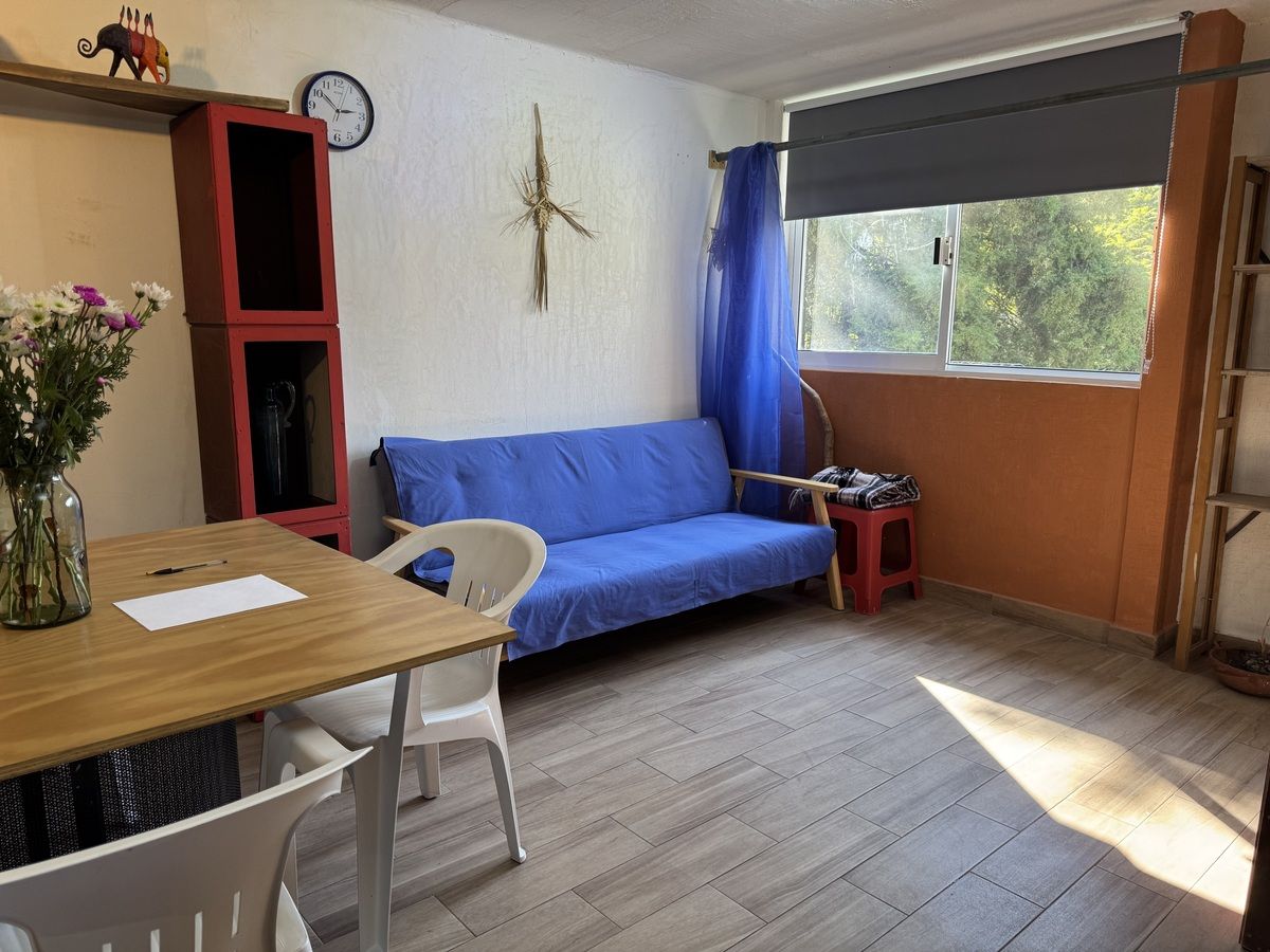 4 de 26: Amplia estancia con vista verde