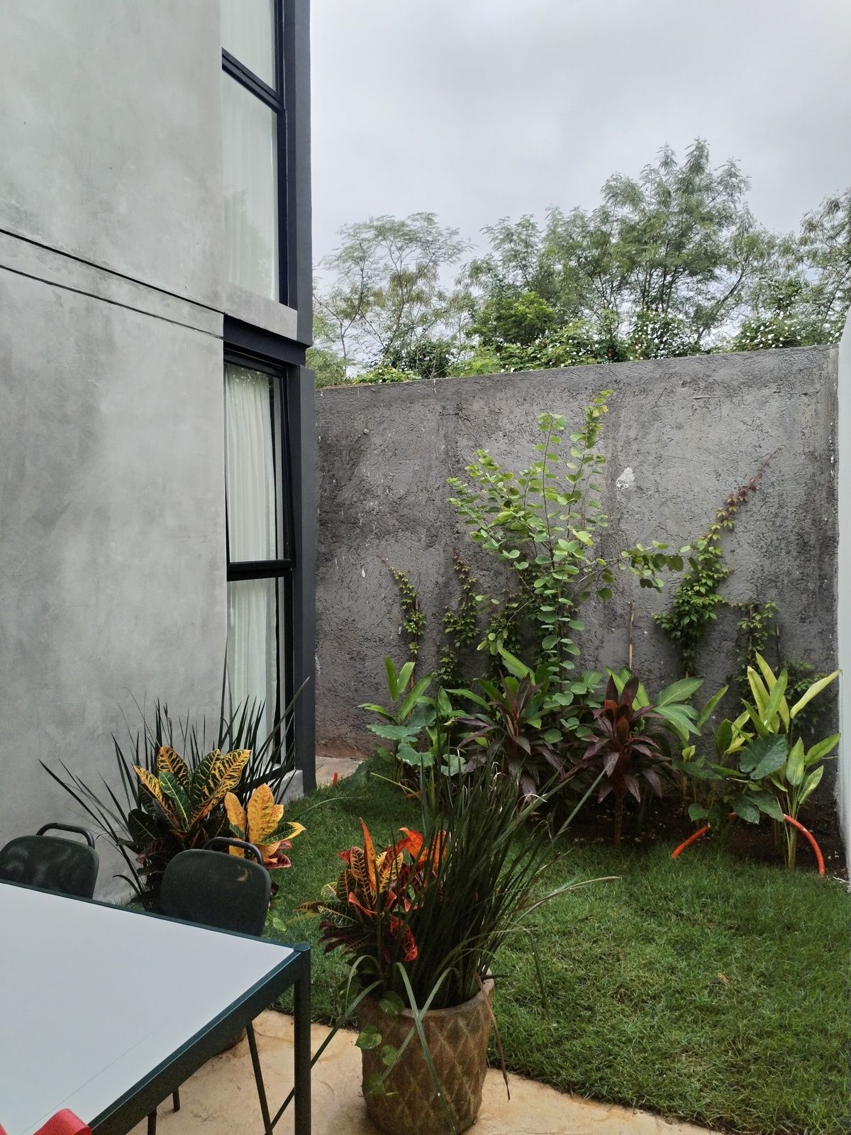 7 of 24: Espacio de jardin