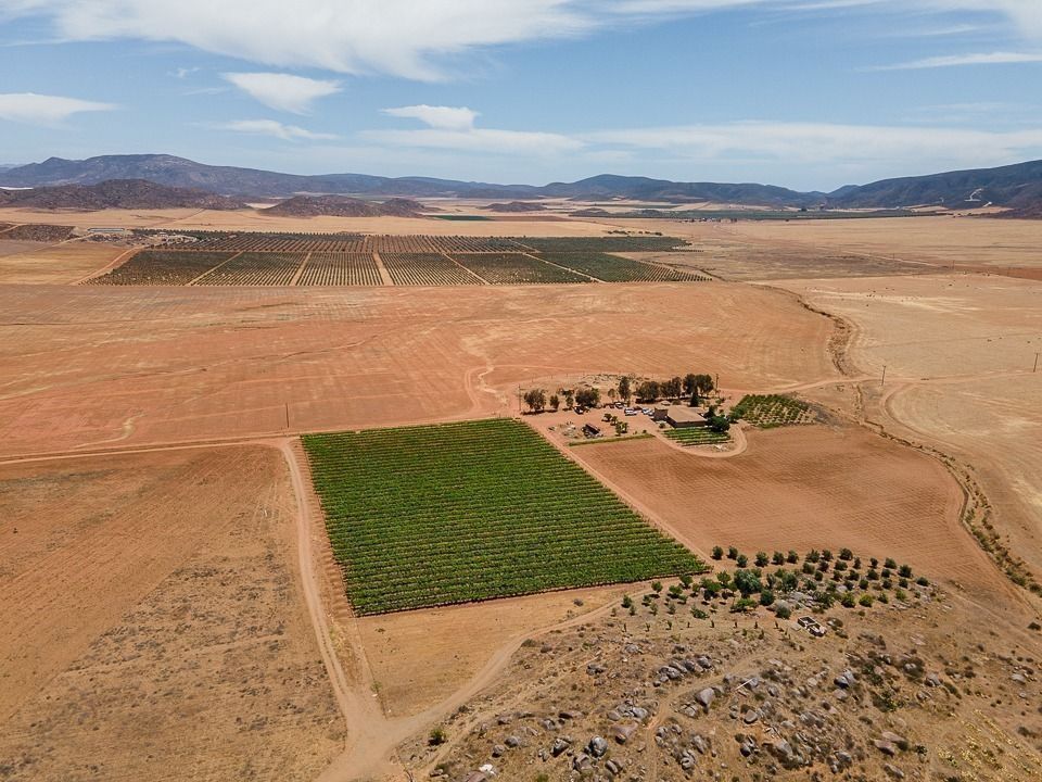 https://assets.easybroker.com/property_images/4828610/81889386/EB-RN8610.jpg?version=1730328456