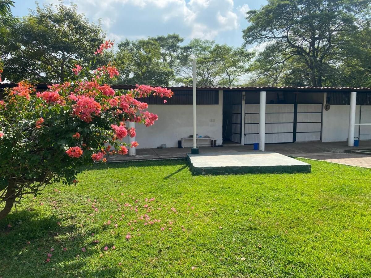 26 de 33