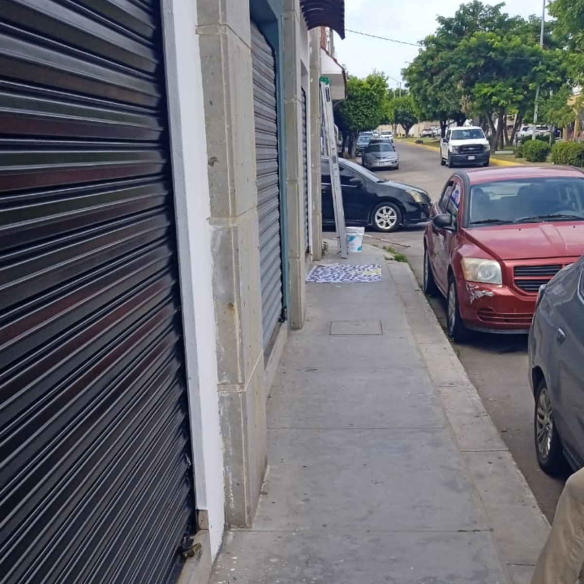 3 de 11