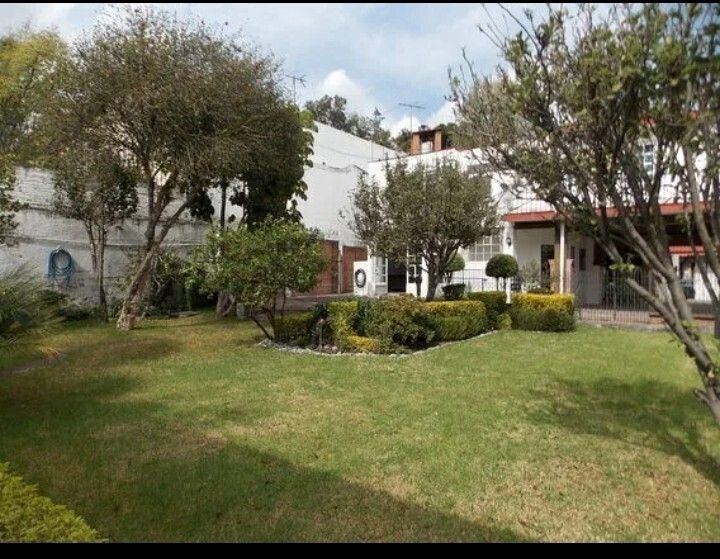 9 de 19: Vista jardin