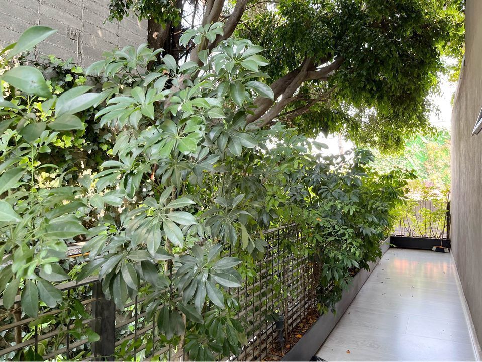 Departamento en Lomas de Tecamachalco, Naucalpan de Juárez, foto 7 de 22