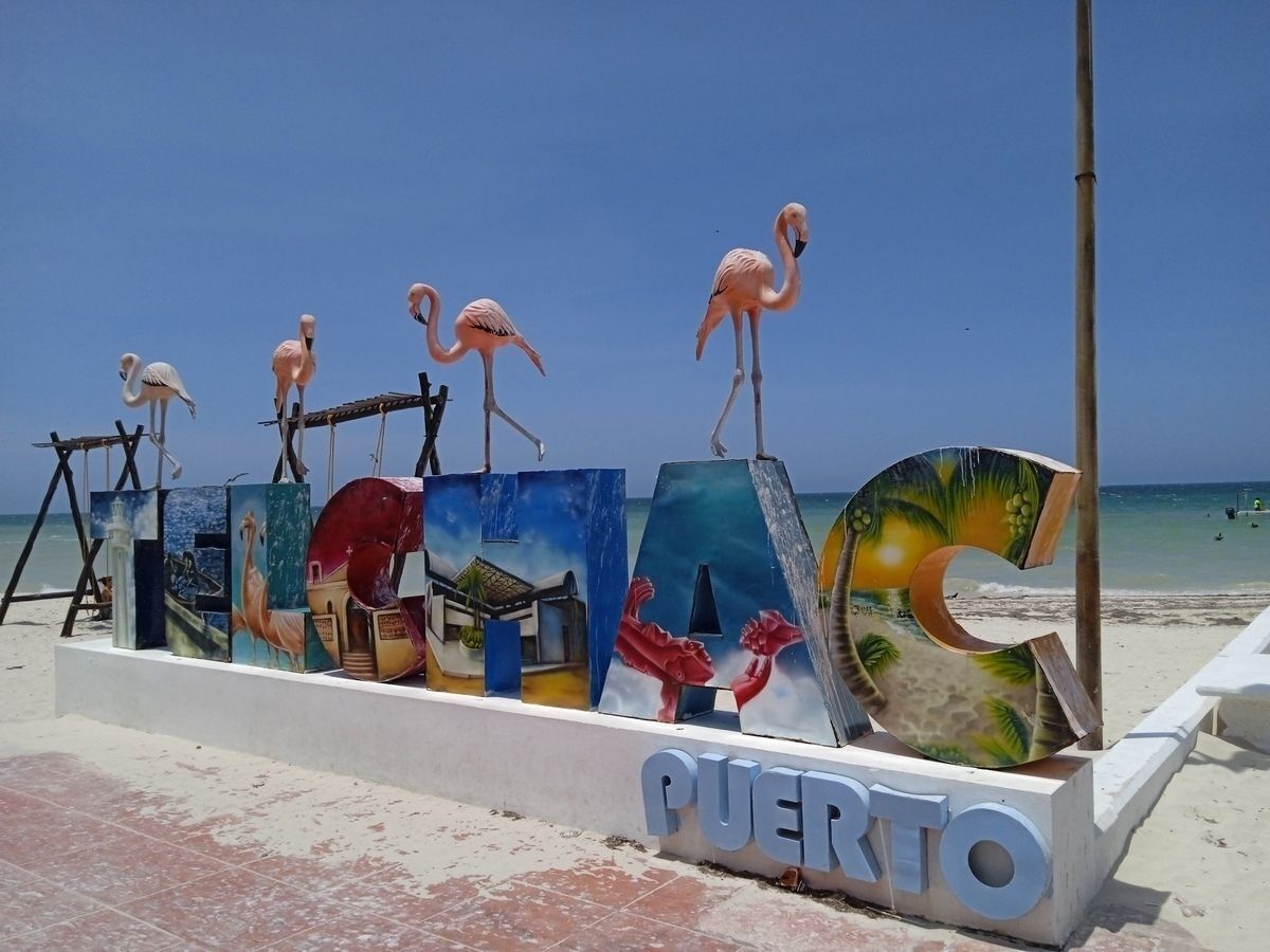7 de 49