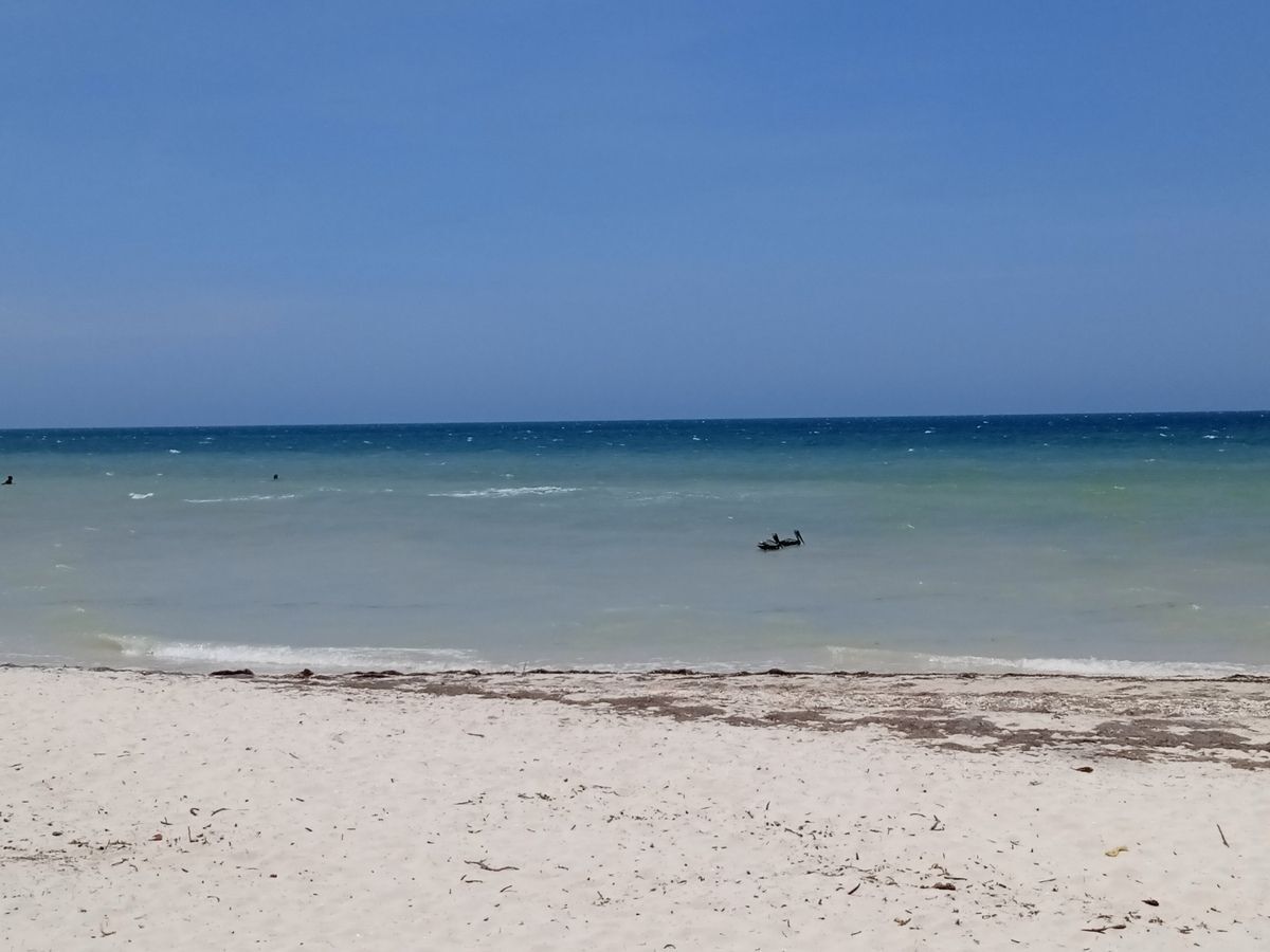 12 de 49